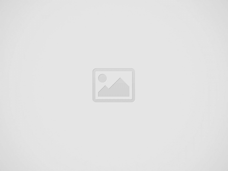 TrustedSender - Projekt logo i identyfikacji wizualnej
